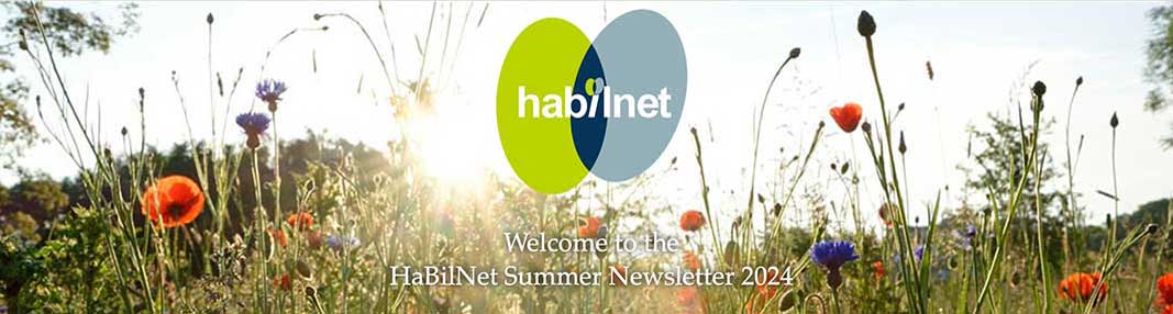 Newsletter 08-2024